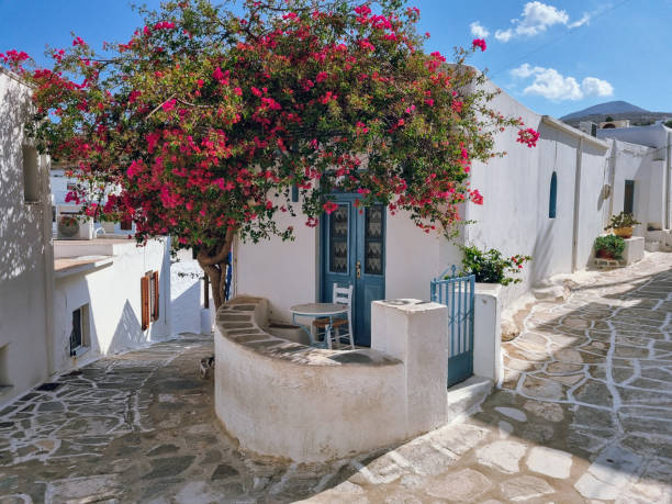 istock Charming traditional Greek house at the corner with small balcony, blue doors and windows and pink flowers(bougainvillea) in Lefkes village, Paros Island, Greece 2187135262