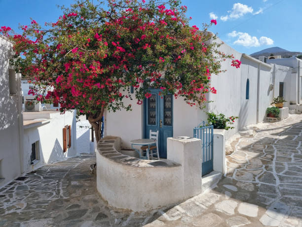 istock Charming traditional Greek house at the corner with small balcony, blue doors and windows and pink flowers(bougainvillea) in Lefkes village, Paros Island, Greece 2187135306