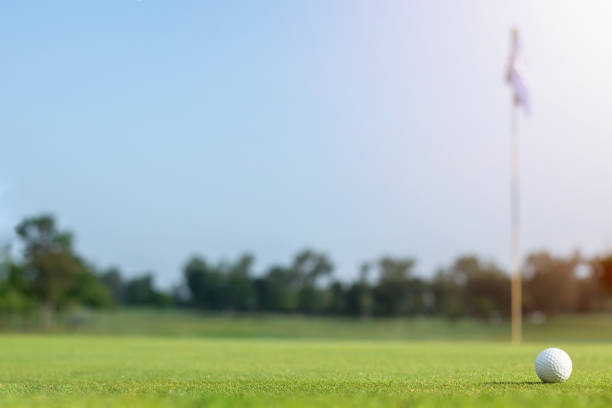 A golf ball comes to rest a few feet from the hole with a flag pole in it. The ball is drawn out by selective focus. The image is vignetted.