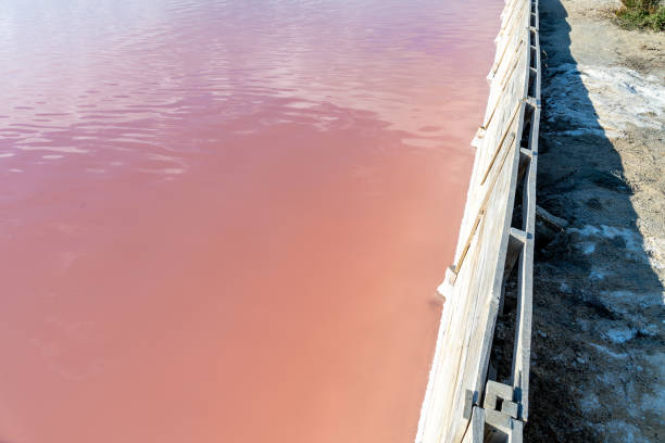 A salt lake with striking pink water from high salt concentrations and microorganisms, reflecting the sky against a dry shore.