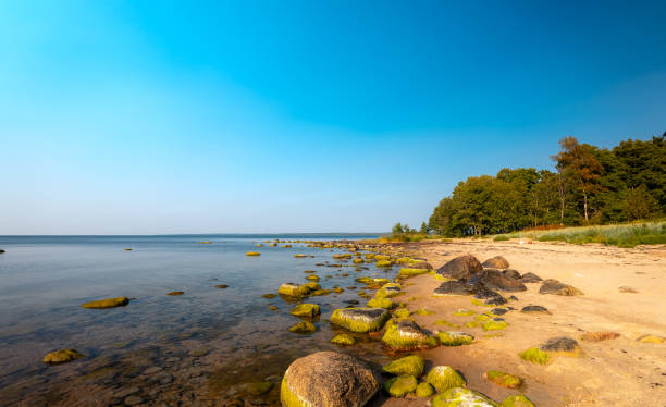 Baltic sea coast with boulders and stones.