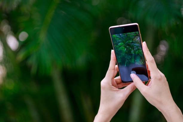 istock Person Using Smartphone to Take a Photo Outdoors 2187147580