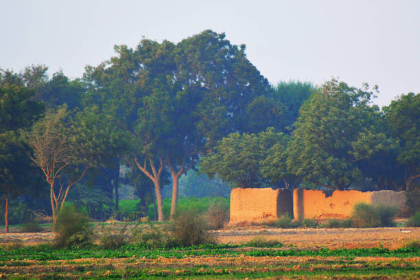 A view of village side, Pakistan