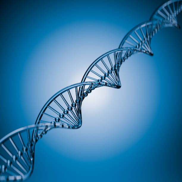 istock Magnified human DNA helix on blue background 2187152126