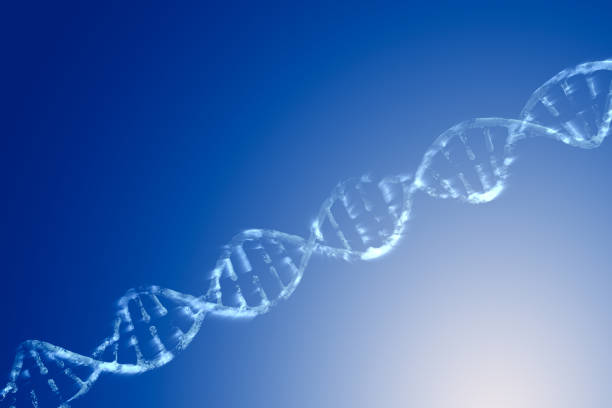 Human DNA helix. Extreme close-up of human genome under a microscope
