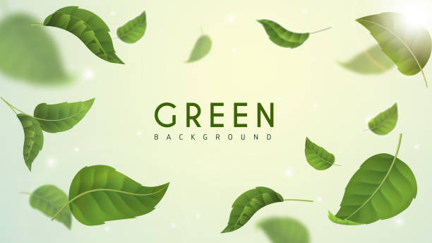 istock Green leaves background. Herbal tea crop. Natural foliage. Care about nature and environment. Fresh eco products. Template for banner and cover. Realistic vector illustration 2187152937