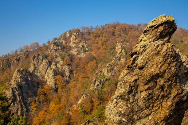 Autumn colors in the forest with cliffs. Yellow and orange tree leaves in autumn in Wachau valley, Austria. Sunny autumn day seasonal changes of the nature