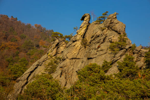 istock Autumn colors in the forest with cliffs 2187157702
