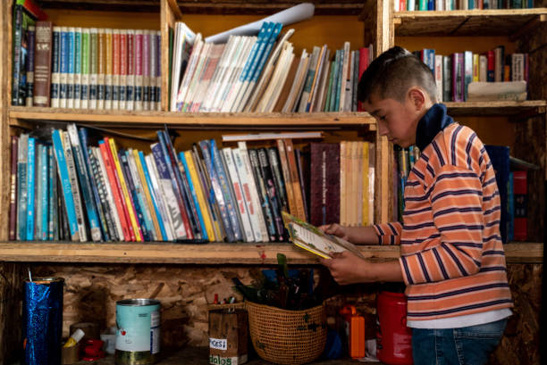 Child boy reading a book at school library