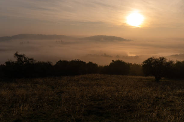 istock Golden sunrise over a misty meadow 2187160942