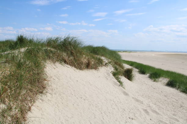 istock Dunes and beach, Minsener Oog 2187162907
