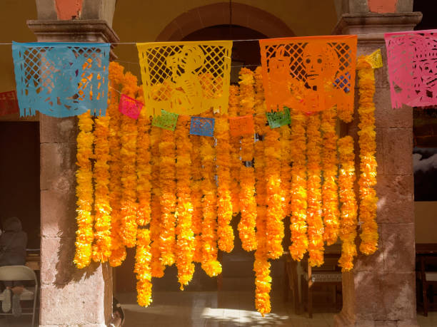 Marigolds, or \