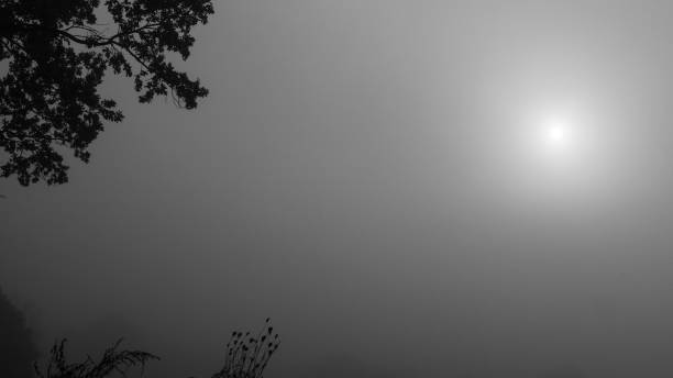 The sun breaks through the clouds, foggy morning, black and white image.