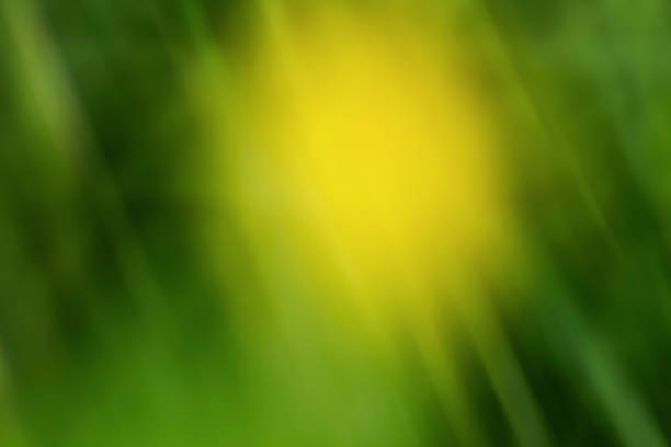 Abstract bokeh background of colorful glowing lights and soft focus