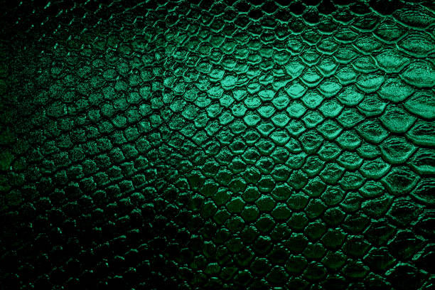 istock Snakeskin reptile leather pattern texture toned in green color background 2187169208