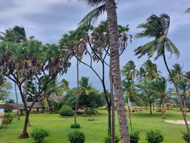 istock Kenyan Coast, Mombasa 2187172330