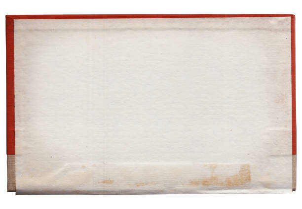 Vintage background of old ancient torn paper texture with spots isolated