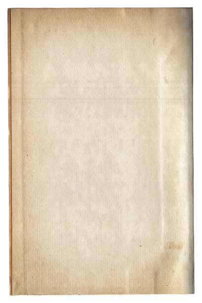 istock Vintage background of old ancient torn paper texture isolated 2187173907
