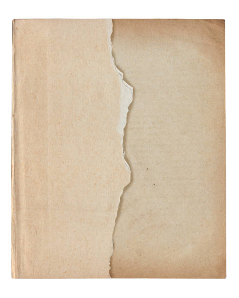 istock Vintage background of old ancient torn paper texture isolated 2187173958