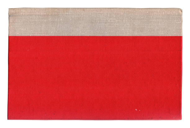 istock Vintage background of old book torn paper texture with scratches 2187174002