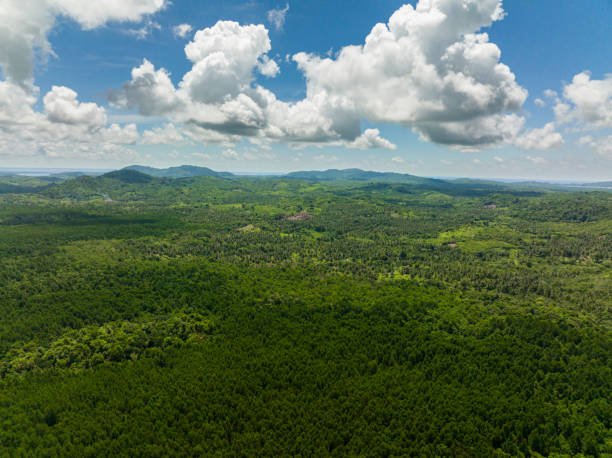 istock Tropical landscape with mountains and jungle in Philippines. 2187174708