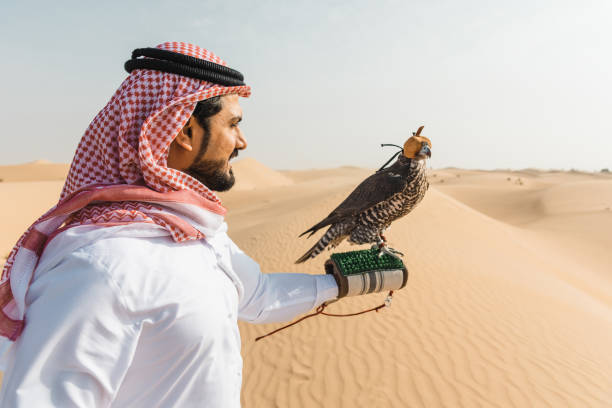istock arab man with falcon in the desert 2187175171