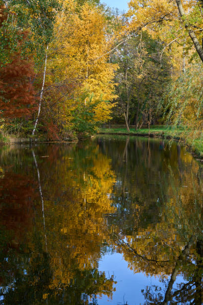 Water canals in a park during autumn with bridge and colorful trees