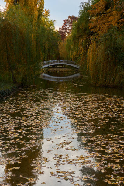 Water canals in a park during autumn with bridge and colorful trees