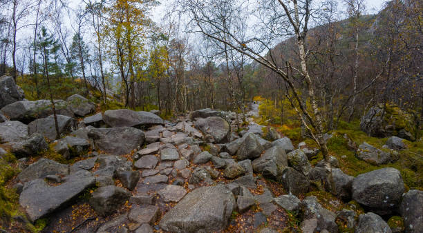 istock Rocky Forest Trail in Autumn 2187187035