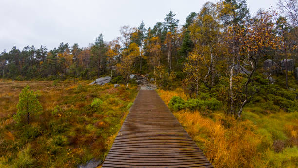 istock Wooden Boardwalk Through Autumn swamp 2187187118