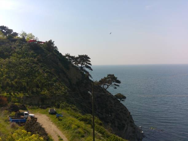 istock A bird flying in the sky above a cliff and sea 2187189741