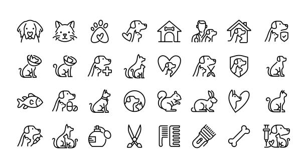 stockillustraties, clipart, cartoons en iconen met pet care and veterinary line icon set. group of object. - huisdier