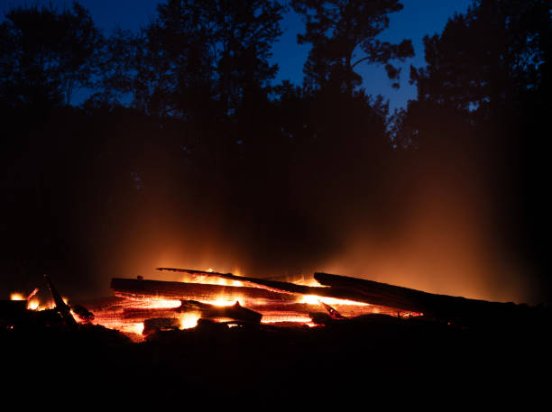 Logs burning down to coals at night with smoke rising and glowing orange with a forest behind silhouetted by the night sky.