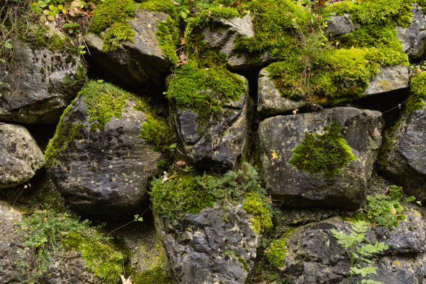 A close-up of an old stone retaining wall, constructed from natural rock rock and covered with thick green moss. Detailed textures and shades create a sense of time, natural stability and harmony, ideal for themes of nature, history and architecture.