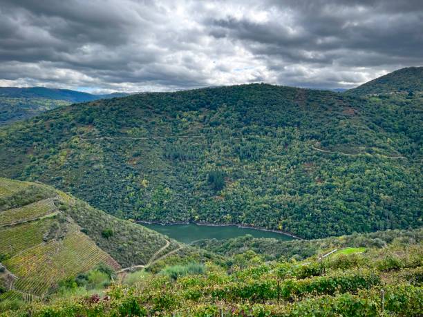 Breathtaking scenery of green mountains, serene valleys, and a winding river under a soft blanket of clouds.