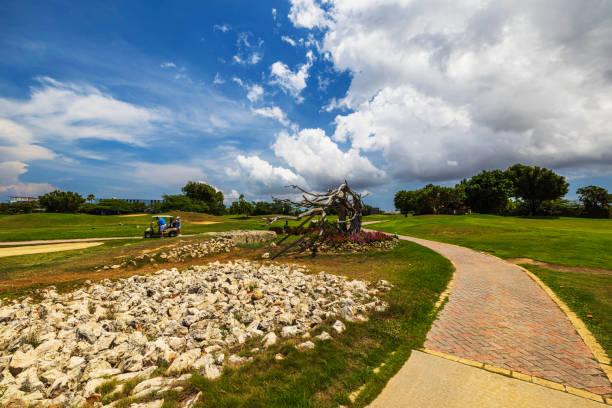 Oranjestad. Aruba. 11.27.2024. Dead tree standing as natural feature on golf course with young couple riding golf cart while playing golf.