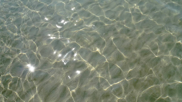 istock Sun glare on the rippling water surface. The sandy seabed is visible through clean waters. Sea, ocean texture. Natural summer background 2187196992