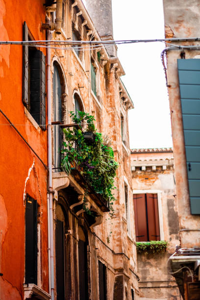 Charming Venetian Architecture with Vibrant Red Facade and Verdant Balcony in Venice, Italy