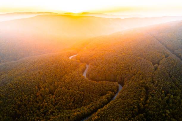 istock Aerial view of a forest road at sunrise. 2187203362