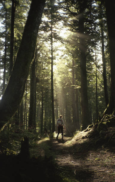 istock Hiking at sunrise on film 2187205517