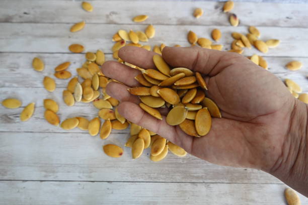 istock Farmer holding pumpkin seeds in open palm on rustic wooden table 2187213233