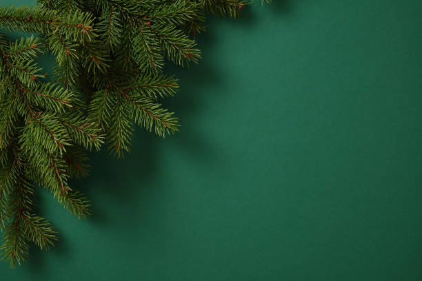 istock Pine branches on a green backdrop, creating a natural holiday border. Ideal for Christmas designs, seasonal promotions. 2187213338