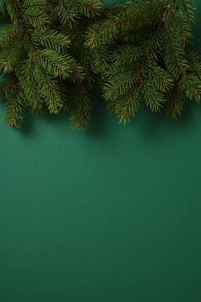 istock Evergreen fir branches on a dark green backdrop, creating a natural and festive texture. Ideal for Christmas designs, seasonal promotions, and winter-themed projects 2187213394