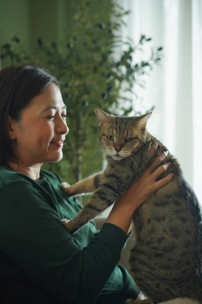 istock Woman is holding a cat and playing with it on the sofa. 2187233152