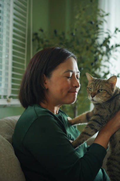 istock Woman is holding a cat and playing with it on the sofa. 2187233156