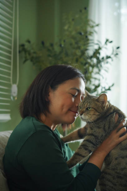 istock Woman is holding a cat and playing with it on the sofa. 2187233159