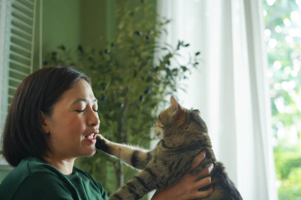 istock Woman is holding a cat and playing with it on the sofa. 2187233161