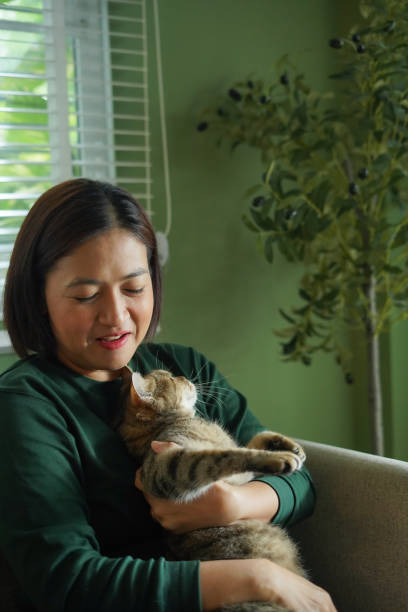 istock Woman is holding a cat and playing with it on the sofa. 2187233164