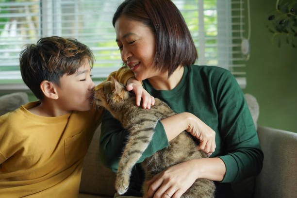 istock Boy plays with a cat on the sofa with his mother happily. 2187233191