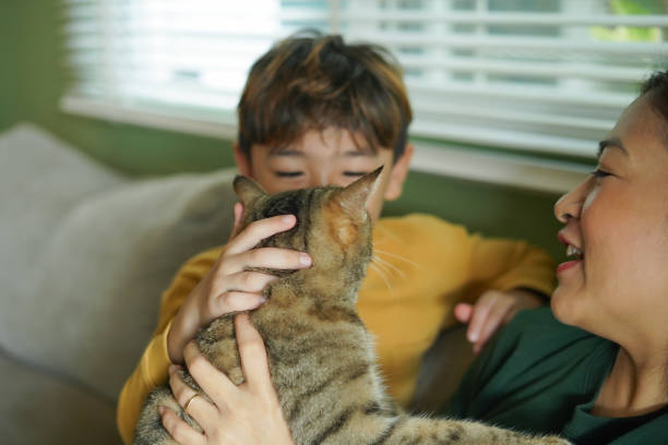 istock ​Child Boy and mother hugging a cat on the sofa happily. 2187233243